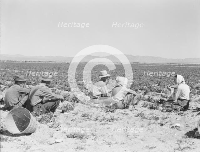 Lunchtime in the field, camp in background, near Calipatria, California, 1939. Creator: Dorothea Lange.
