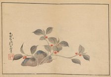 Sakai Hoitsu gajo (Sakai Hoitsu painting album). Creator: Hoitsu, Sakai (1761-1828).