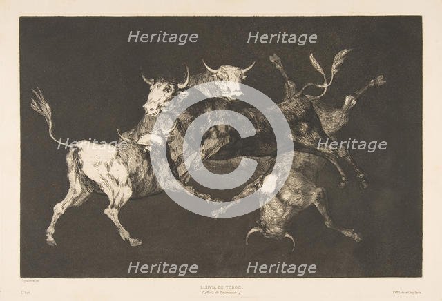 Plate D from the 'Disparates': Fools-'or Little Bulls' - folly, ca. 1816-23 (published 1877). Creator: Francisco Goya.