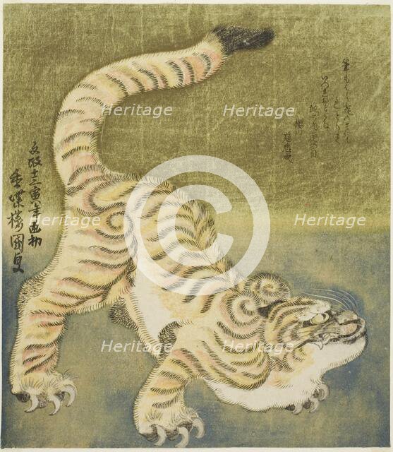 Crouching tiger, 1830. Creator: Utagawa Kunisada.