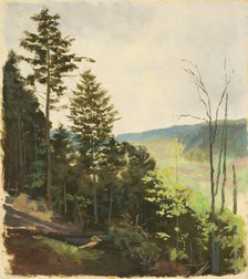 Hill with scrub, 1850-1900. Creator: Jan Nowopacký.