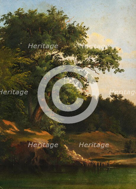 In the Forest, 1860-1890. Creator: Friedrich Carl von Scheidlin.