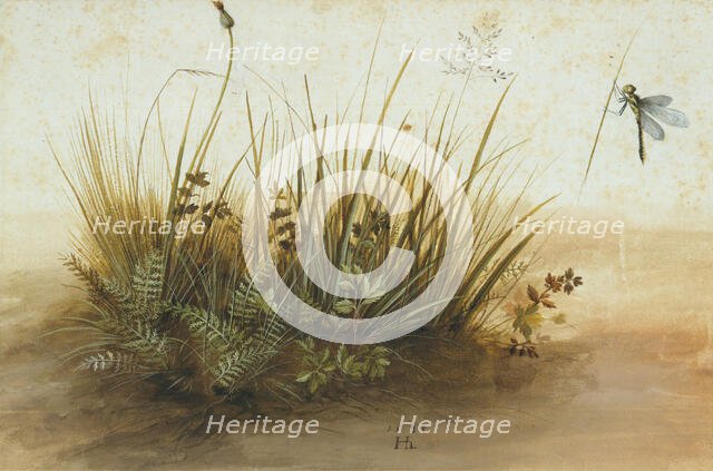 A Small Piece of Turf, 1584. Creator: Hans Hoffmann.