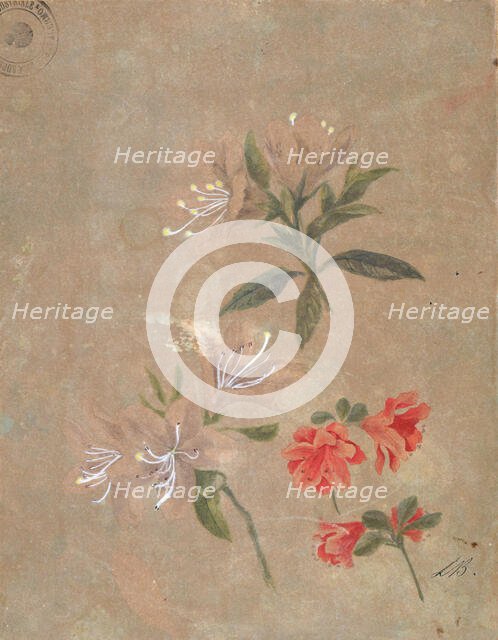 Three groups of flowers, 1886. Creator: Kiyohara, Tama (O'Tama), (Eleonora Ragusa) (1861-1939).