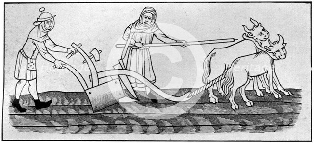 Ploughing, 14th century, (1910). Artist: Unknown