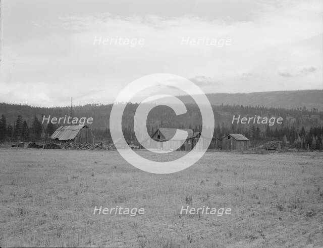 Partially-developed stump ranch seen across cleared grain field, Boundary County, Idaho, 1939. Creator: Dorothea Lange.