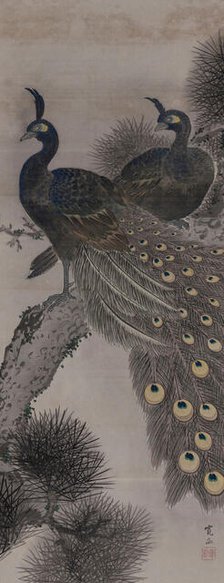 A pair of peacocks on a pine tree, 19th century. Creator: Kanpo; Araki (1831-1915).