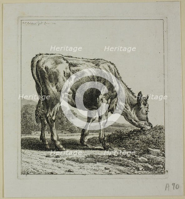 Calf Feeding, from Die Zweite Thierfolge, 1800. Creator: Johann Christian Reinhart.