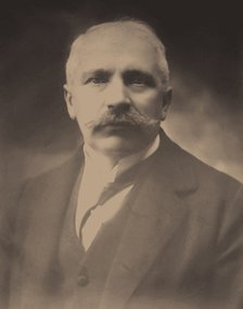 Giacomo Luigi Ciamician. Artist: Anonymous  