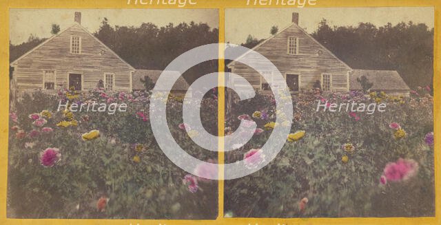 Poppy field Cabbot Vt., about 1870. Creator: Unknown.