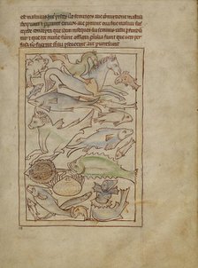 Fish and Sea Monsters; Northumberland Bestiary, about 1250-1260. Creator: Unknown.