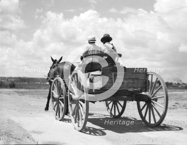 Transportation in the South, Mississippi, 1936. Creator: Dorothea Lange.
