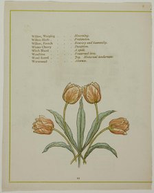 Decorative Illustration, from The Illuminated Language of Flowers, published 1884. Creators: Edmund Evans, Catherine Greenaway.