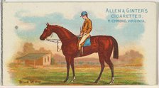 Blue Wing, from The World's Racers series (N32) for Allen & Ginter Cigarettes, 1888. Creator: Allen & Ginter.