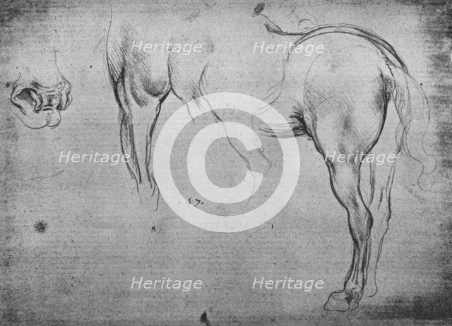 'Three Sketches of a Horse's Hind-Quarters and one of its Nostrils', c1480 (1945). Artist: Leonardo da Vinci.
