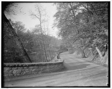 Rock Creek Park scenes, between 1910 and 1920. Creator: Harris & Ewing.