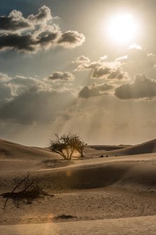 Dubai Desert. Creator: Viet Chu.