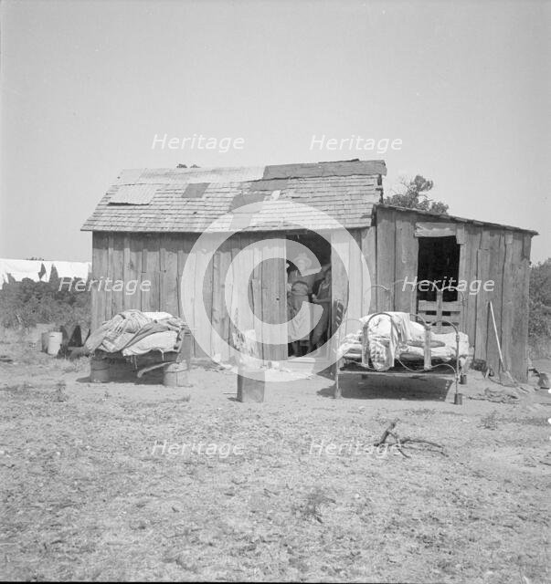 People living in miserable poverty, Elm Grove, Oklahoma County, Oklahoma, 1936. Creator: Dorothea Lange.