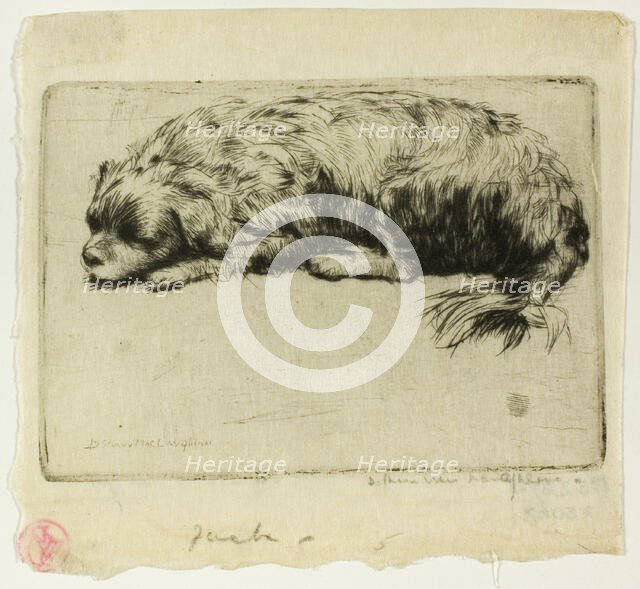 Jack, 1902. Creator: Donald Shaw MacLaughlan.