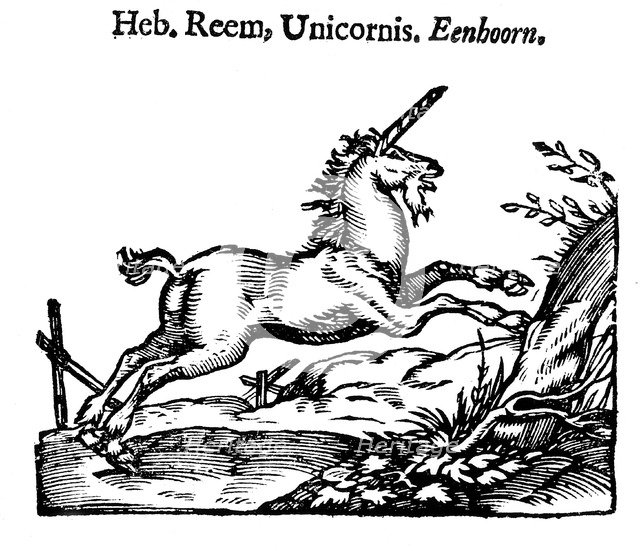 Unicorn, 1644. Artist: Unknown