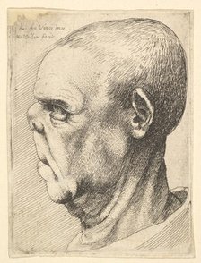 Grotesque old man with flattened nose in profile to left, 1625-77. Creator: Wenceslaus Hollar.
