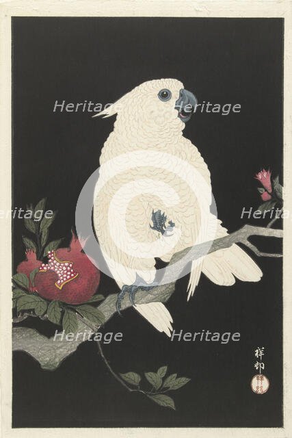 Cockatoo and pomegranate, 1925-1936. Creator: Ohara, Koson (1877-1945).
