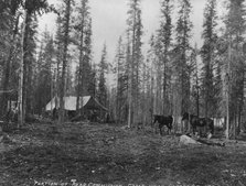 Road Commission camp near Copper Center, between c1900 and 1923. Creator: Unknown.