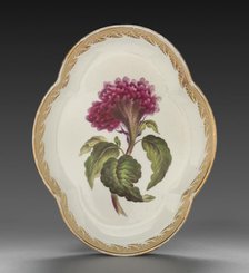 Quatrelobed Dish from Dessert Service: Coxcomb, c. 1800. Creator: Derby (Crown Derby Period) (British).
