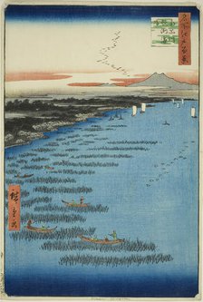 Samezu Coast in South Shinagawa (Minami-Shinagawa Samezu kaigan), from the series..., 1857. Creator: Ando Hiroshige.