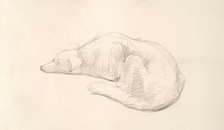 A Dog, c1830s. Creator: John Phillip.