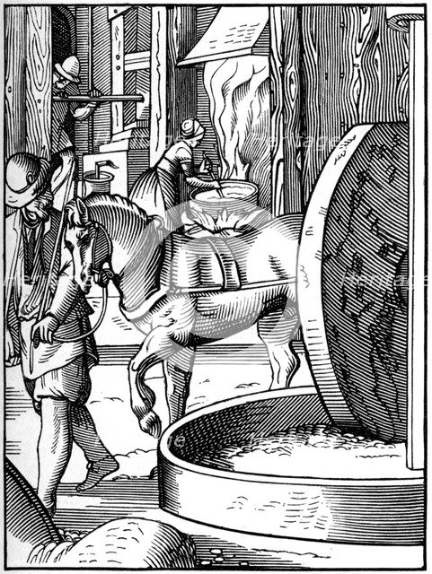 The manufacture of oil, 16th century (1849).Artist: Jost Amman