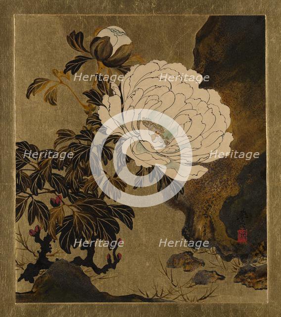 Lacquer Paintings of Various Subjects: Peonies, 1882. Creator: Shibata Zeshin.
