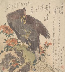 Eagle on a Rock; Flowering Azaleas, ca. 1800. Creator: Kubo Shunman.