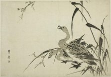 Wild Geese and Reeds, c. 1810. Creator: Utagawa Toyohiro.