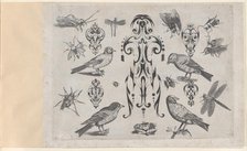 Blackwork Designs with Birds and Insects, Plate 2 from a Series of Blackwork Ornamen..., after 1622. Creator: Meinert Gelijs.