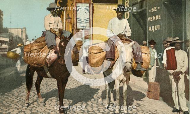 'Vegetable Men, Havana, Cuba', 1904. Creator: Detroit Photographic Company.