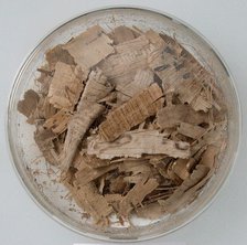 Papyri Fragments, Coptic, 7th century. Creator: Unknown.