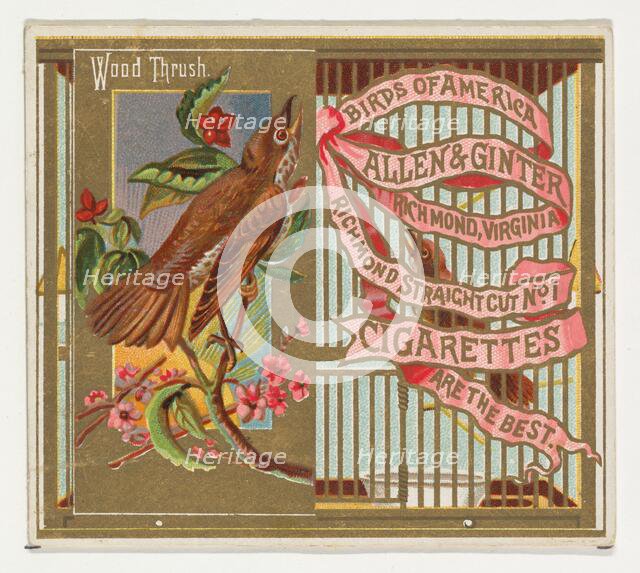 Wood Thrush, from the Birds of America series (N37) for Allen & Ginter Cigarettes, 1888. Creator: Allen & Ginter.