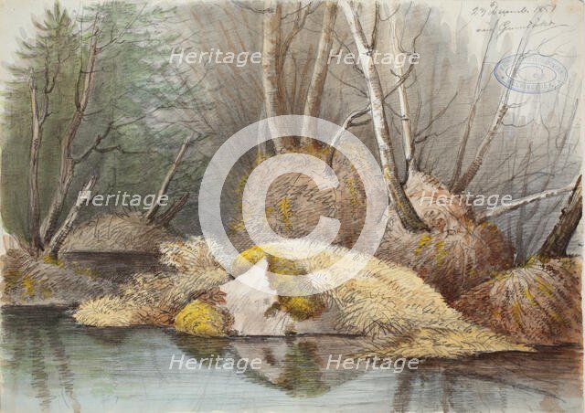 Spring forest interior and flooded bogs, 1851. Creator: Magnus von Wright.