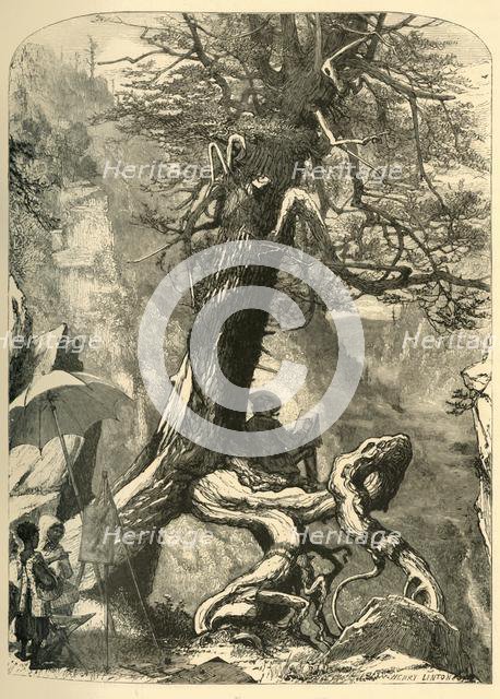 'Above the Natural Bridge', 1872.  Creator: Henry Duff Linton.