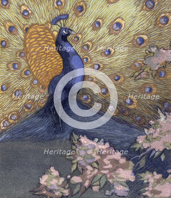 Peacock displaying its tail; scene from "The Jungle Book", 1919. Creator: Paul Jouve.