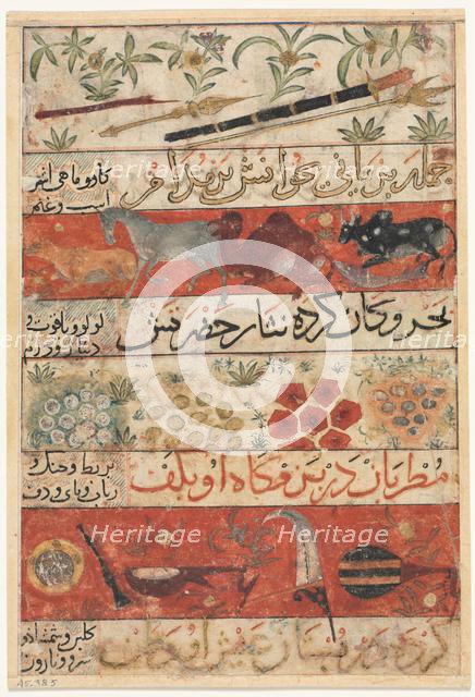 Animals, Precious Stones, Coins, and Musical Instruments (recto); Animals, Birds, and Plants (verso) Creator: Unknown.