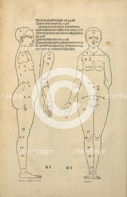 Illustration from the Four Books on Human Proportion, 1528. Creator: Dürer, Albrecht (1471-1528).