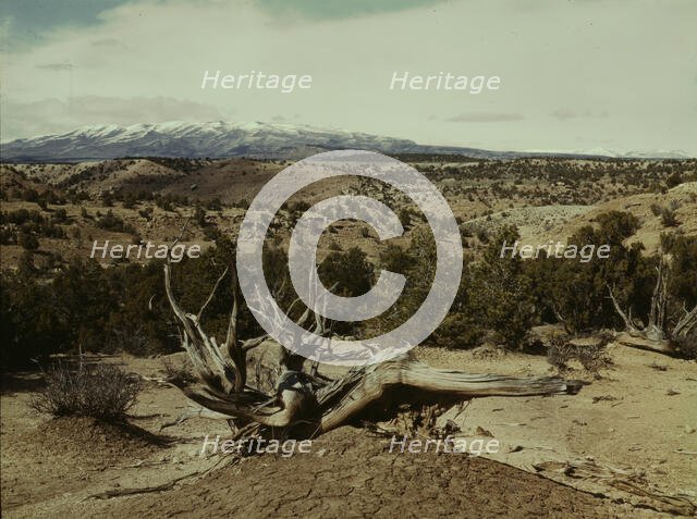 Landscape, Northeast Utah, 1942. Creator: John Vachon.