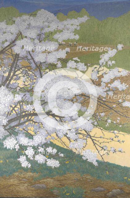 Cherry branch, 1910s. Creator: Lindh, Bror (1877-1941).