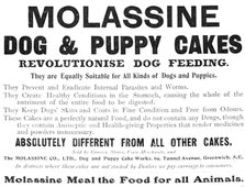 Molassine Dog & Puppy Cakes revolutionise dog feeding - equally suitable for all kinds of dogs, 1909 Creator: Unknown.