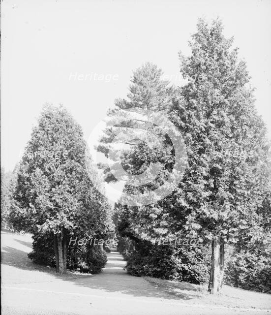Half through the cedars, Fort William Henry Hotel, Lake George, N.Y., between 1900 and 1905. Creator: Unknown.