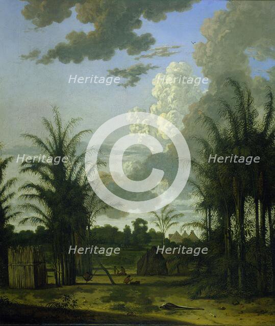 Plantation in Suriname, 1707. Creator: Dirk Valkenburg.