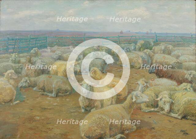 Sheep Park, 1904. Creator: Rudolf Konopa.