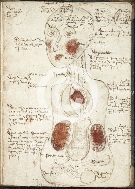 Representation of an Aristotelian Theory of Consciousness (From: De corpore et anima). Artist: Anonymous 
